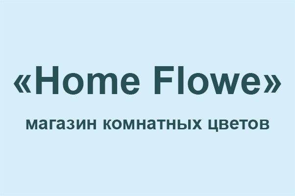 Магазин комнатных цветов «Home Flowe»