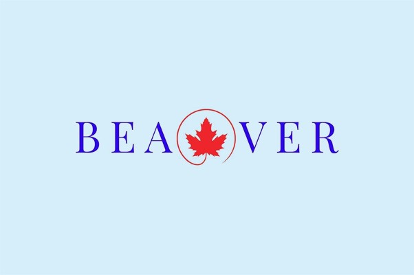 Языковая школа «Beaver»